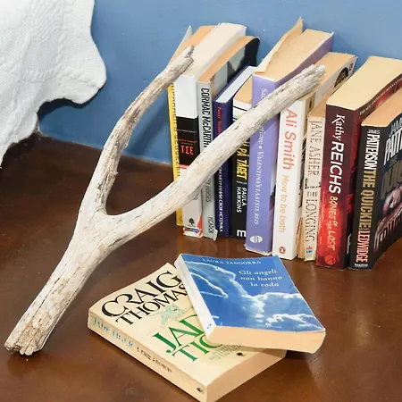 Lägenhet Assos Caldera *